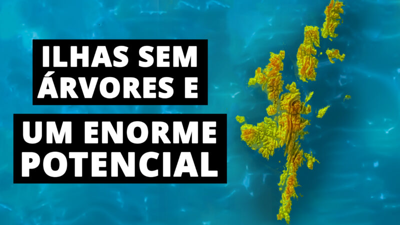 Por que não existem árvores nas ilhas Shetland?